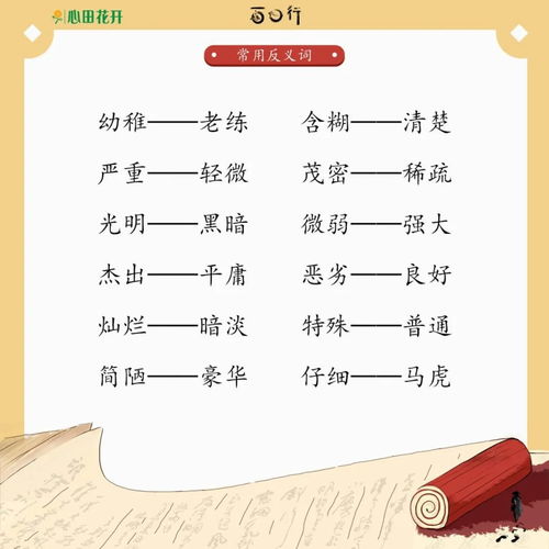 “灵活”是反义词是什么?