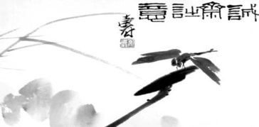 圮的拼音