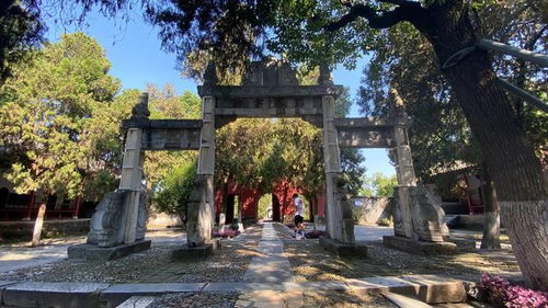 胡曾《咏史诗。邓城》原文及翻译赏析