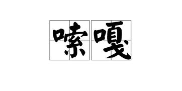 嗦粉是什么意思，呀啦嗦是什么意思
