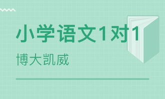 作文辅导班课程内容，作文课外班的作用真有这么大吗四年级
