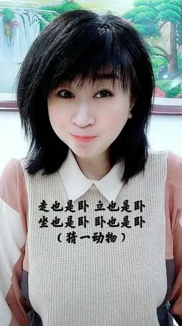 坐也是卧立也是卧谜底是什么，坐也是卧立也是卧打一动物