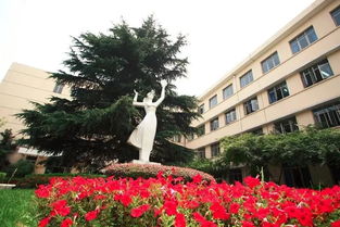 上海健康职业技术学院地址，上海健康职业技术学院学费
