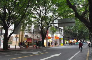 西华路属于哪个区