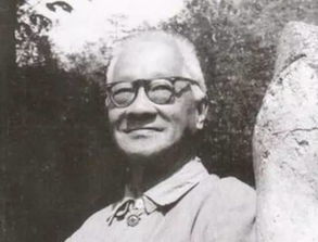 名著导读文学视野宗白华简介
