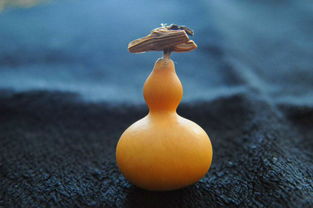 用葫芦造句(大约30个左右)