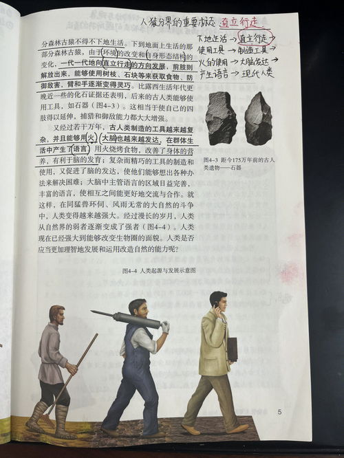 “人”的起源