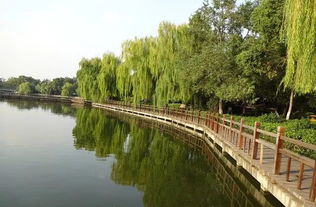 滨江公园要门票吗