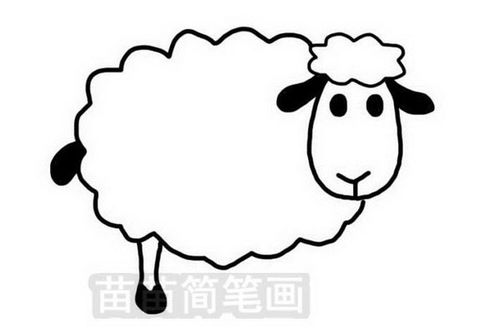 绵羊的画法