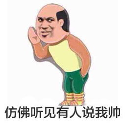 仿佛的意思，仿佛兮若轻云之蔽月,飘飘兮若流风之回雪