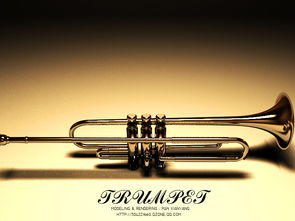 trumpet怎么读