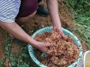 提土旁右边一个斤,这个字念什么
