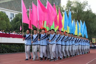方阵是什么意思,