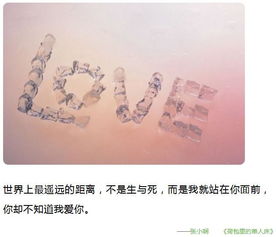 张小娴经典爱情语录我没有刻意去想念，张小娴经典爱情语录面包树上的女人