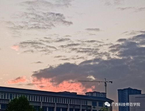 “云从窗里出”出自哪首诗?