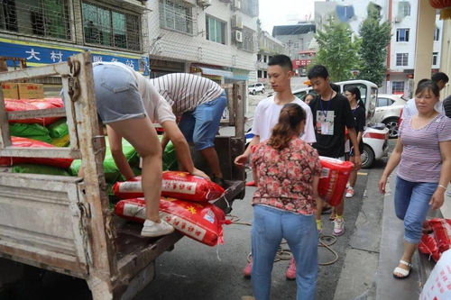 驰援的意思