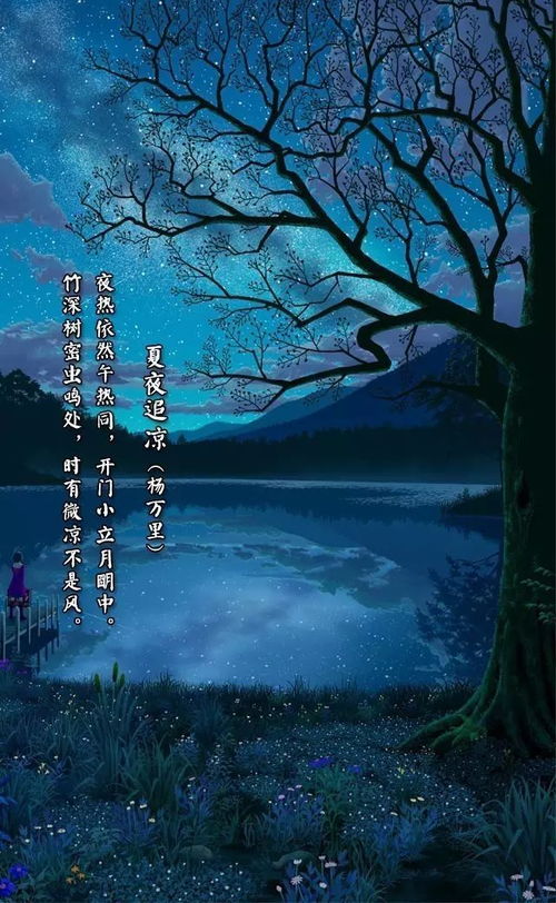 夏夜追凉表达了诗人怎样的情感，夏夜追凉拼音版