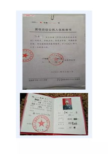 北京市高招办电话
