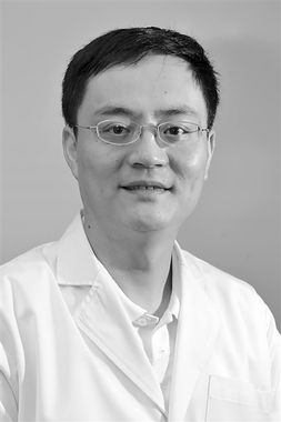 上海一户养2只狗违法吗