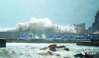 台风杜苏芮对舟山有影响吗