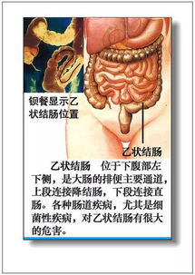 器官捐赠网站官网，器官捐献怎么申请