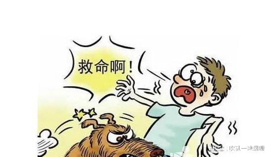 摇头摆尾的意思是什么?