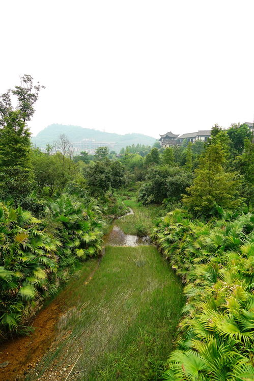 巴山夜雨涨秋池上一句，巴山夜雨涨秋池何当共剪西窗烛的全诗