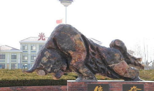 初姓是罕见姓吗