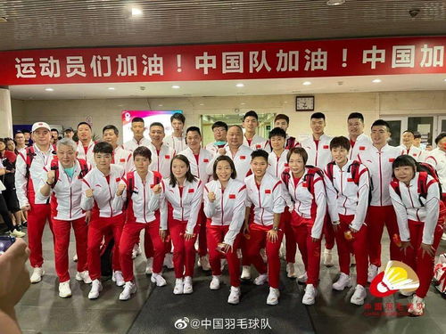 一个羽一个中念什么 一个羽一个中是什么字