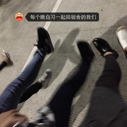abjective，abjective中文