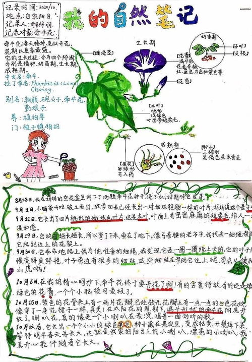生物自然笔记初二，生物自然笔记简单