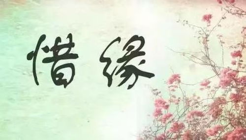 因缘是什么意思，因缘聚合