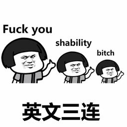 shability翻译，shability算脏话么