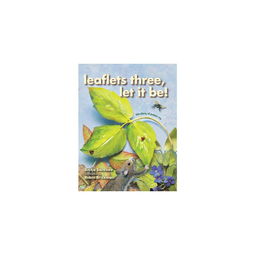 leaflets中文，Leaflets怎么读