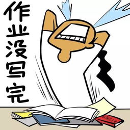 作业写不完,怎么办啊?