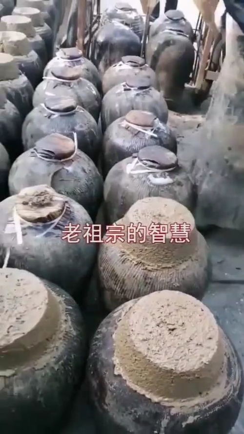 白勺的和土也地的用法和区别是什么?
