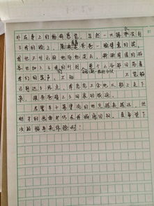 愉快的假期作文