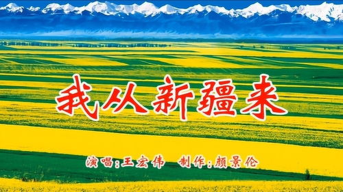 我从新疆来的介绍