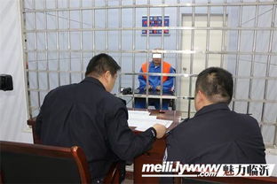 提审完下一步怎么做，提审和再审的区别