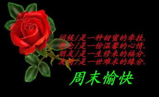 周末问候语给客户暖心的话，周末问候语给客户