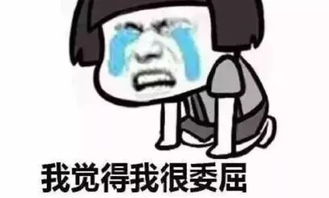 你高尚,你活该单身什么意思