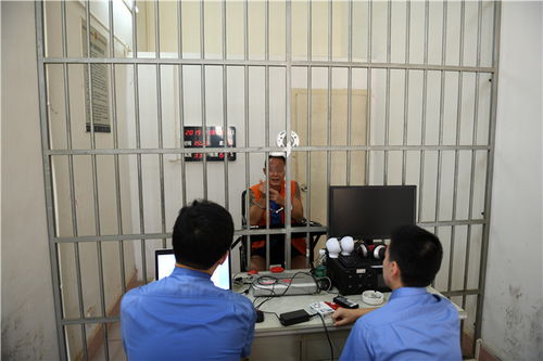 提审是什么意思