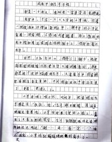 2020暑假教师培训心得感想体会5篇
