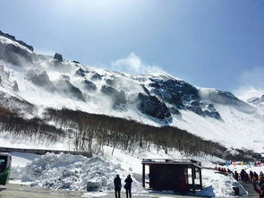 描写冬天长白山风景的旅游作文