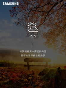 “我是你的眼”是什么歌的歌词?