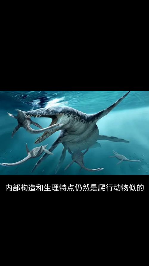 海洋巨兽大百科在线观看，海洋巨兽玛雅图片