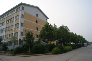 泰安泰山学院地址，泰山学院地址岱岳区哪个街道