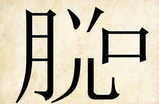 脱的成语开头，形容洒脱的成语