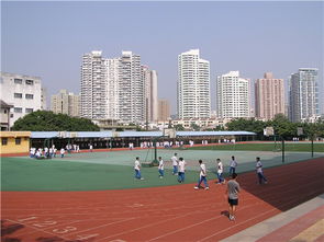 厦门莲花中心小学官网，厦门市莲花小学地址