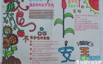 食品安全小报手抄报，食品安全小报怎么写